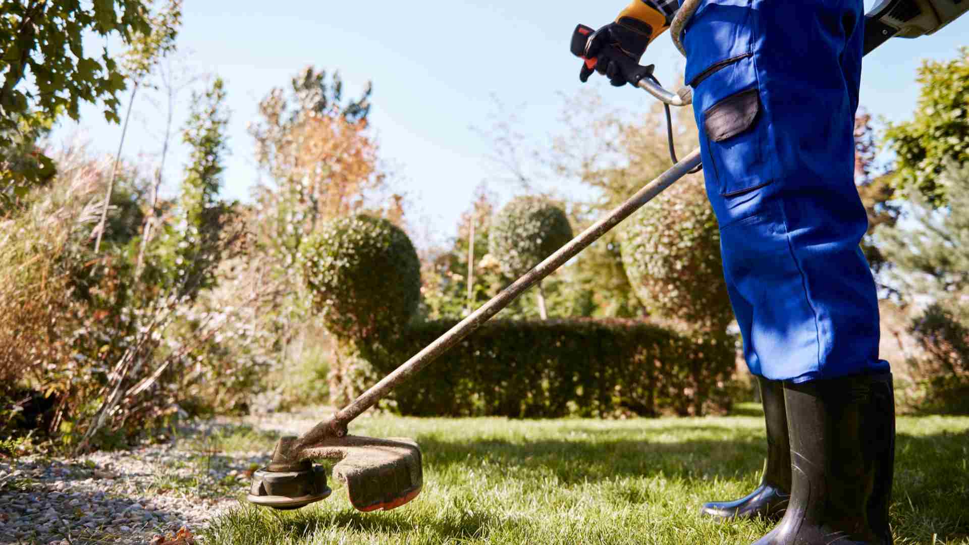 garden-maintenance